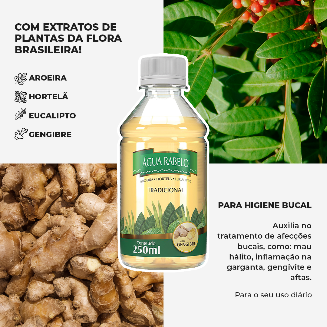 AGUA RABELO GENGIBRE 250ml Kit2x