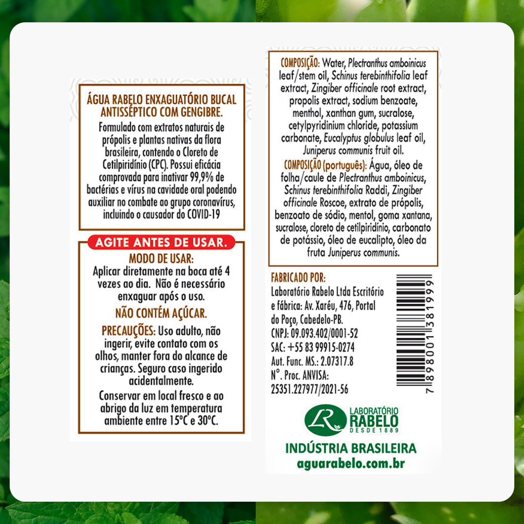 Spray Antibacteriano de Gengibre com CPC Água Rabelo 60ml Kit2x