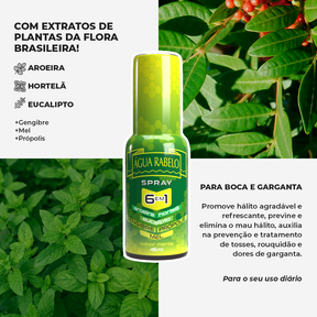 Água Rabelo Spray Menta 6 em 1 45ml Kit2x